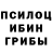 Канабис гибрид Pasha Cherneckj