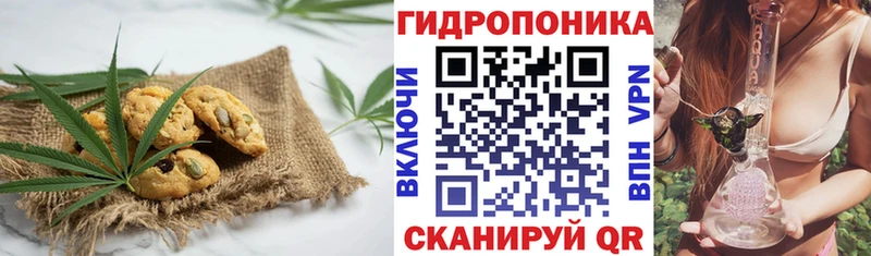 кракен зеркало  Высоковск  Еда ТГК конопля 