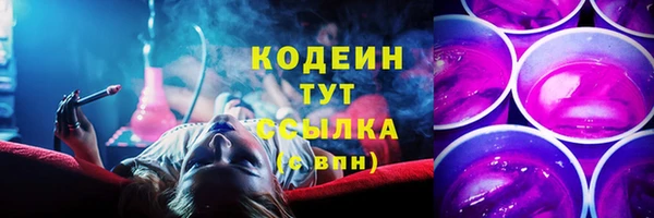 сатива Кондопога