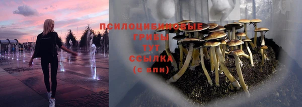 крисы Кукмор