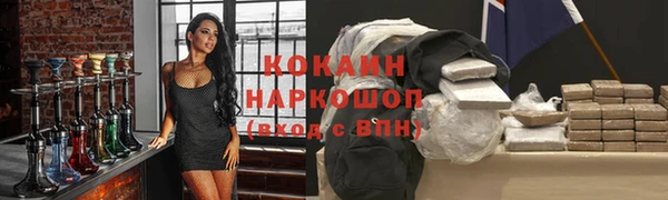 ПСИЛОЦИБИНОВЫЕ ГРИБЫ Вяземский