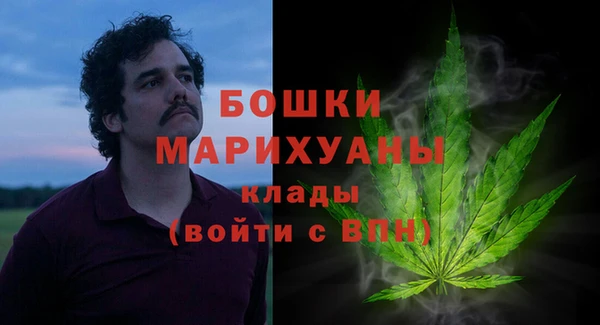 ПСИЛОЦИБИНОВЫЕ ГРИБЫ Вяземский