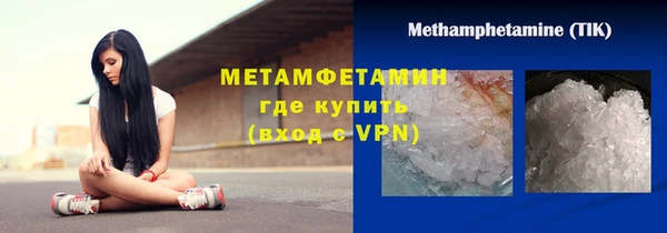 ПСИЛОЦИБИНОВЫЕ ГРИБЫ Вяземский