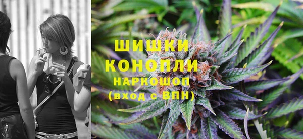 ПСИЛОЦИБИНОВЫЕ ГРИБЫ Вяземский