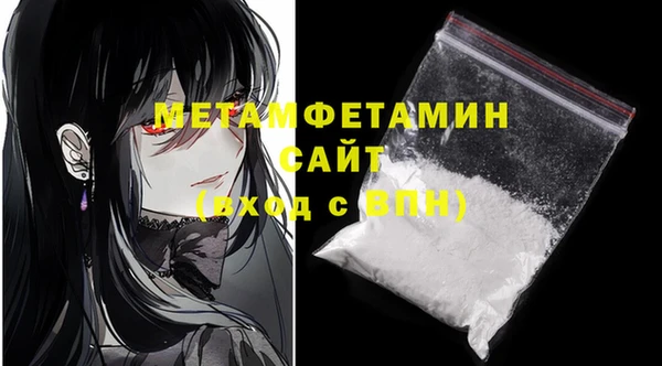 ПСИЛОЦИБИНОВЫЕ ГРИБЫ Вяземский